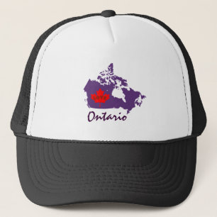 Toronto Ontario past Canada pet aan