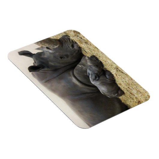 Toronto Zoo baby white rhino Magneet (Rechterzijde)