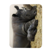 Toronto Zoo baby white rhino Magneet (Verticaal)
