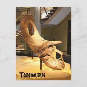 Torosaurus Briefkaart