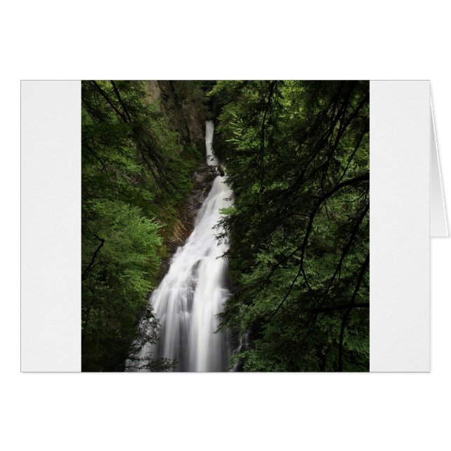 Torrent blanc de cascade (Devant horizontal)