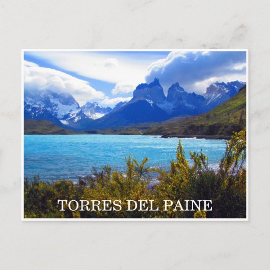 torres del paine chile briefkaart (Voorkant)