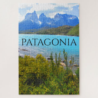 torres del paine patagonia legpuzzel
