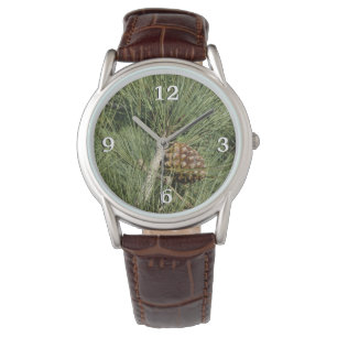 Torrey Pine Close-up Californië Botanisch Horloge