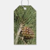 Torrey Pine Closeup California Botanical Cadeaulabel (Voorkant)