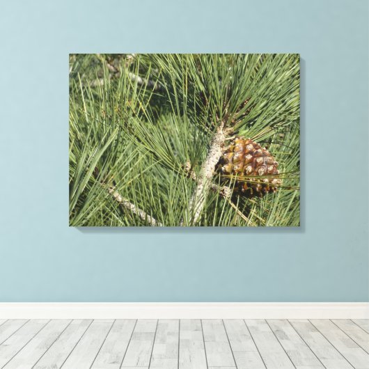 Torrey Pine Closeup California Botanical Canvas Afdruk (Insitu (Houten vloer))