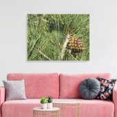 Torrey Pine Closeup California Botanical Canvas Afdruk (Insitu (Woonkamer))