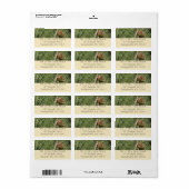 Torrey Pine Closeup California Botanical Etiket (Full Sheet)