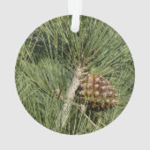 Torrey Pine Closeup California Botanical Ornament (achterkant)
