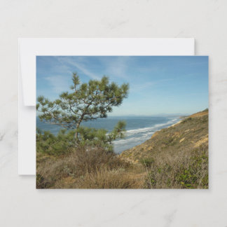 Torrey Pine en Californische kust landschap Notitiekaartje