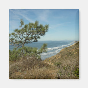 Torrey Pine en Californische kustlijn landschap Magneet