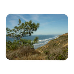 Torrey Pine en Californische kustlijn landschap Magneet