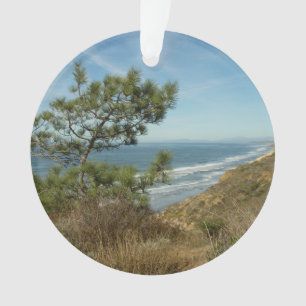 Torrey Pine en Californische Kustlijn Landschap Ornament