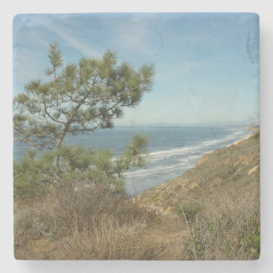 Torrey Pine en Californische kustlijn landschap Stenen Onderzetter
