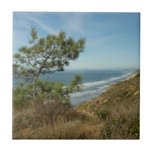 Torrey Pine en Californische kustlijn landschap Tegeltje
