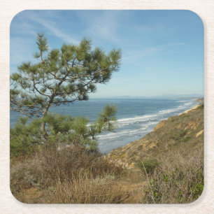 Torrey Pine en Californische kustlijn landschap Vierkante Kartonnen Onderzetter