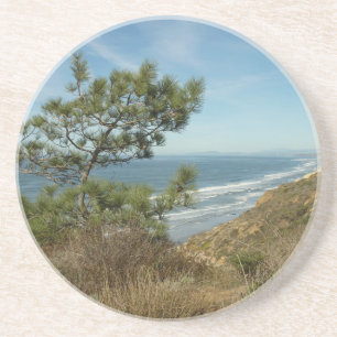 Torrey Pine en Californische kustlijn landschap Zandsteen Onderzetter