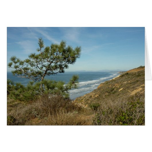 Torrey Pine en het kustlandschap van Californië (Voorkant Horizontaal)