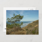 Torrey Pine en het kustlandschap van Californië Briefkaart (Voorkant / Achterkant)