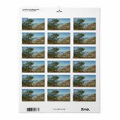 Torrey Pine en het kustlandschap van Californië Etiket (Full Sheet)