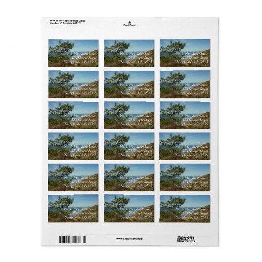 Torrey Pine en het kustlandschap van Californië Etiket (Full Sheet)