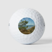 Torrey Pine en het kustlandschap van Californië Golfballen (Voorkant)