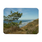 Torrey Pine en het kustlandschap van Californië Magneet (Horizontaal)