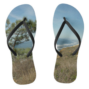 Torrey Pine en het kustlandschap van Californië Teenslippers