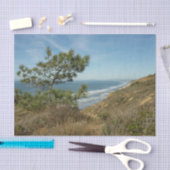 Torrey Pine en het kustlandschap van Californië Tissuepapier (Craft)