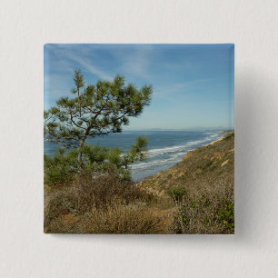 Torrey Pine en het kustlandschap van Californië Vierkante Button 5,1 Cm