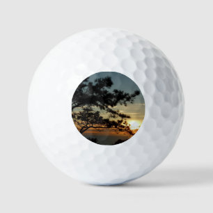 Torrey Pine Sunset I California Landscape Golfballen