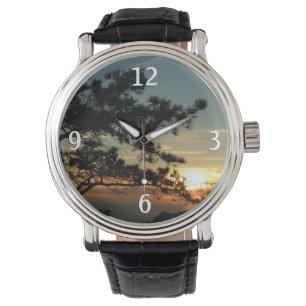 Torrey Pine Sunset I California Landscape Horloge