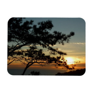 Torrey Pine Sunset I California Landscape Magneet