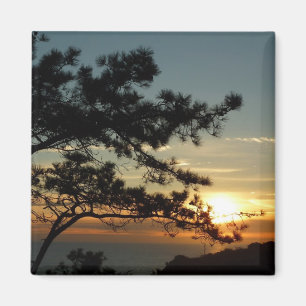 Torrey Pine Sunset I California Landscape Magneet
