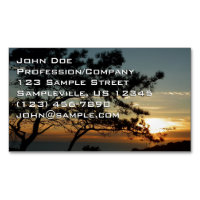 Torrey Pine Sunset I California Landscape