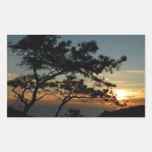 Torrey Pine Sunset I California Landscape Rechthoekige Sticker