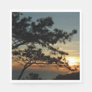Torrey Pine Sunset I California Landscape Servet