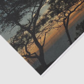 Torrey Pine Sunset I California Landscape Tissuepapier (Detail)