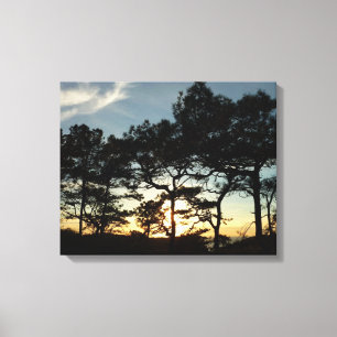 Torrey Pine Sunset II Californië Landschap Canvas Afdruk
