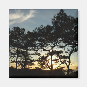 Torrey Pine Sunset II Californië Landschap Magneet
