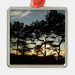 Torrey Pine Sunset II Californië Landschap Metalen Ornament