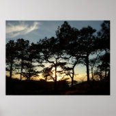 Torrey Pine Sunset II Californië Landschap Poster (Voorkant)