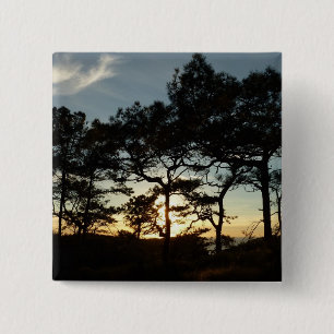 Torrey Pine Sunset II Californië Landschap Vierkante Button 5,1 Cm