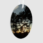 Torrey Pine Sunset II Californie Paysage (devant)