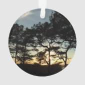 Torrey Pine Sunset II Californie Paysage (dos)