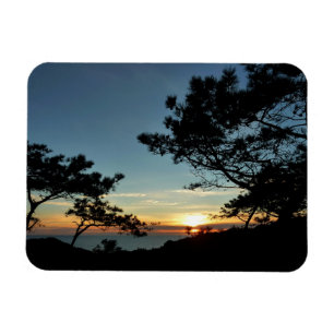 Torrey Pine Sunset III Californië Landschap Magneet