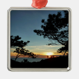 Torrey Pine Sunset III Californië Landschap Metalen Ornament