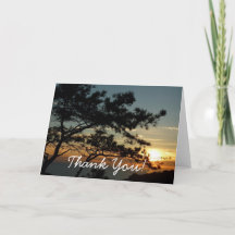 Torrey Pine Zonsondergang I Californië Landschap