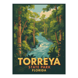Torreya State Park - Florida Perfect Poster