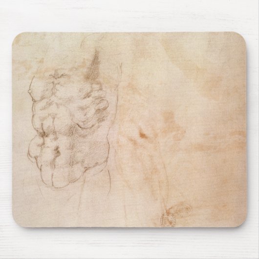 Torso Study Muismat (Voorkant)